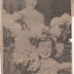 My very first Rhododendron Week publicity shot